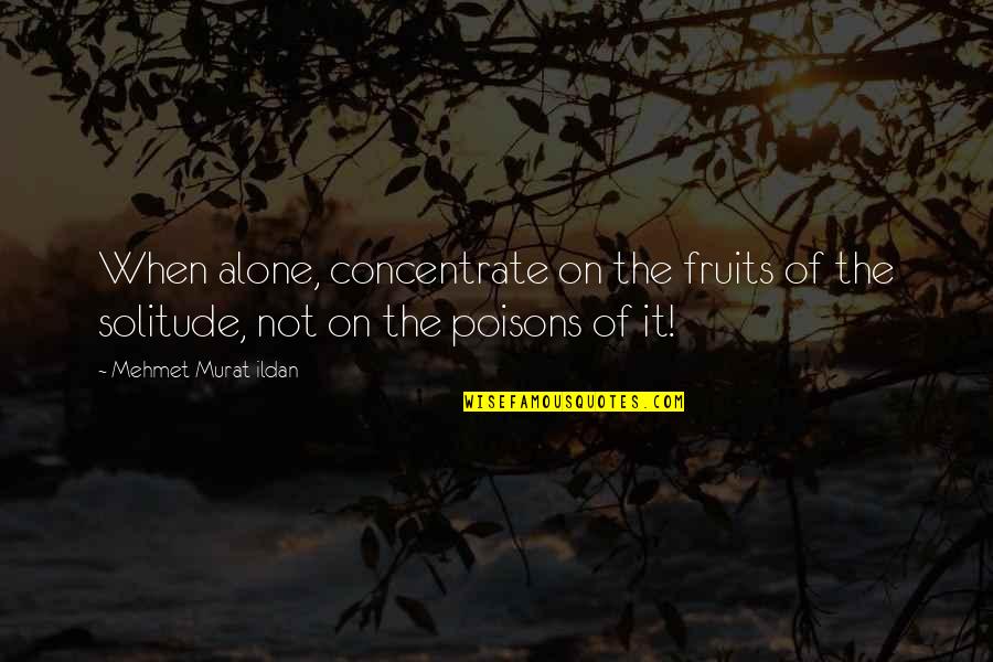 Focusing On Work Quotes By Mehmet Murat Ildan: When alone, concentrate on the fruits of the