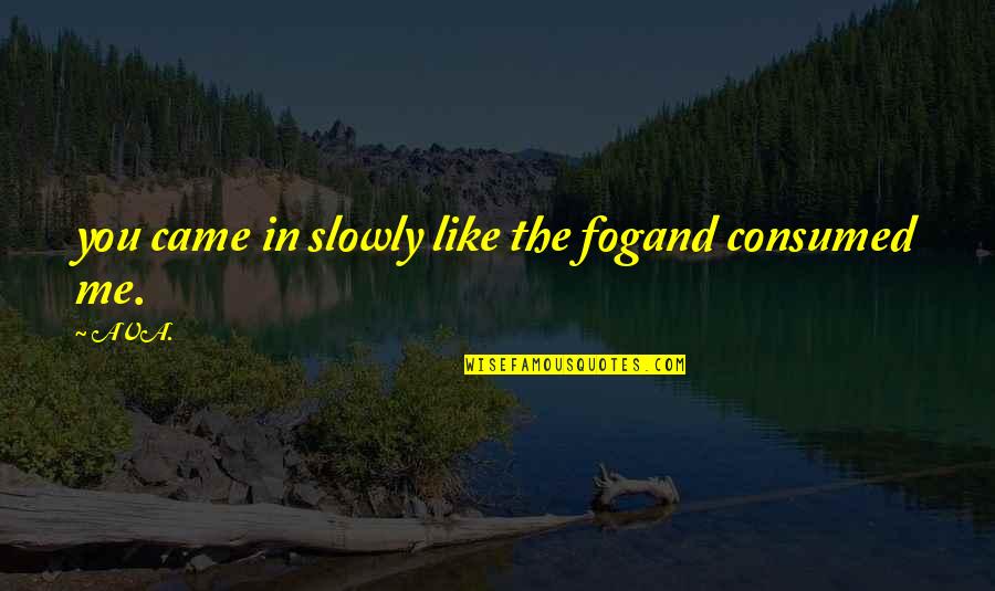 Fog Poetry Quotes By AVA.: you came in slowly like the fogand consumed