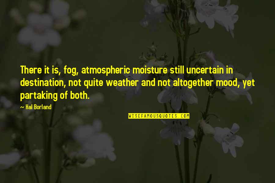 Fog Quotes By Hal Borland: There it is, fog, atmospheric moisture still uncertain Fog Quotes By Hal Borland: There it is, fog, atmospheric moisture still uncertain