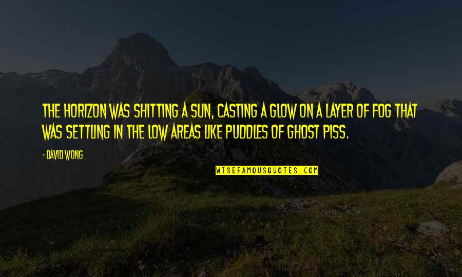 Fog'll Quotes By David Wong: The horizon was shitting a sun, casting a Fog'll Quotes By David Wong: The horizon was shitting a sun, casting a