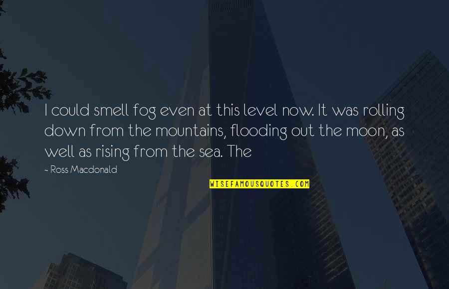 Fog'll Quotes By Ross Macdonald: I could smell fog even at this level Fog'll Quotes By Ross Macdonald: I could smell fog even at this level