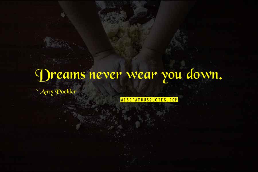 Foguetes Brasileiros Quotes By Amy Poehler: Dreams never wear you down.