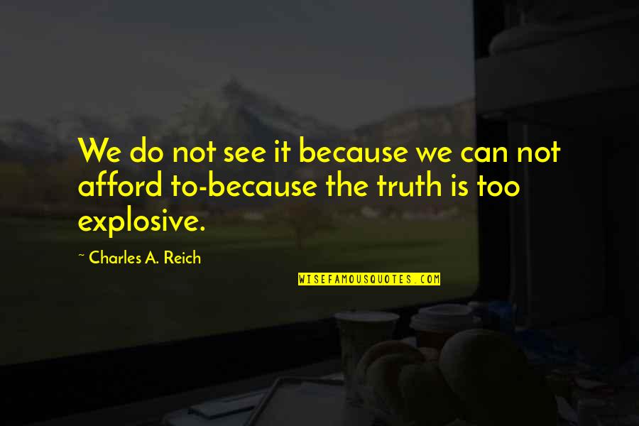 Folettas Quotes By Charles A. Reich: We do not see it because we can Folettas Quotes By Charles A. Reich: We do not see it because we can