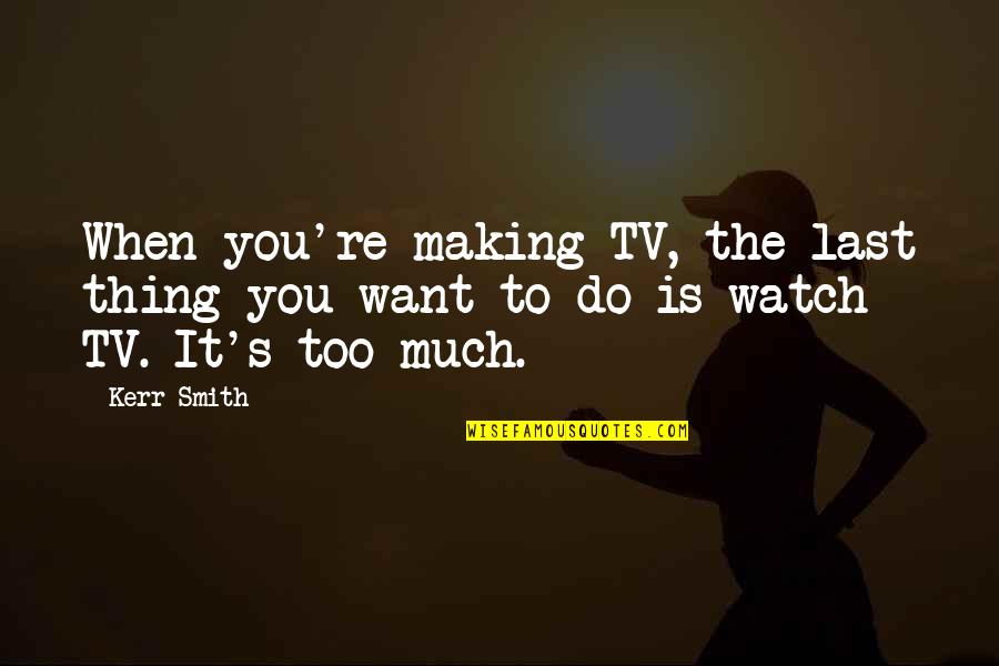 Folgt In English Quotes By Kerr Smith: When you're making TV, the last thing you