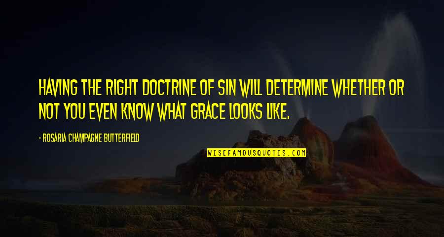 Folkes Quotes By Rosaria Champagne Butterfield: Having the right doctrine of sin will determine