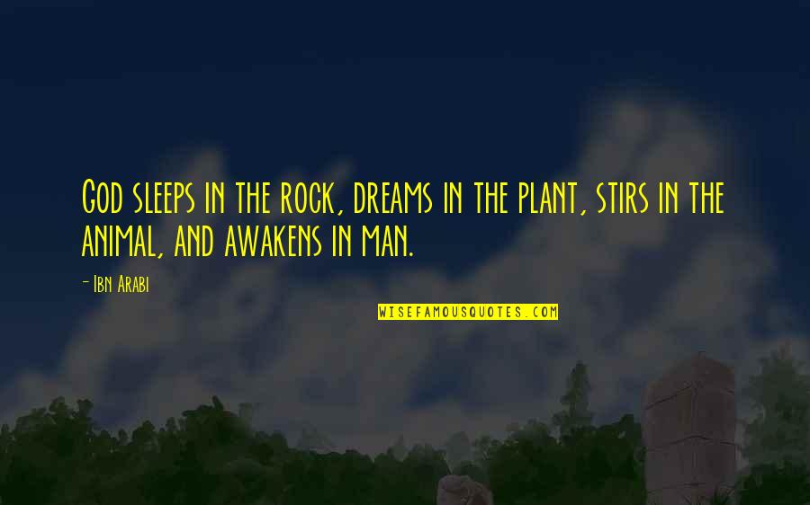 Follea Rene Quotes By Ibn Arabi: God sleeps in the rock, dreams in the