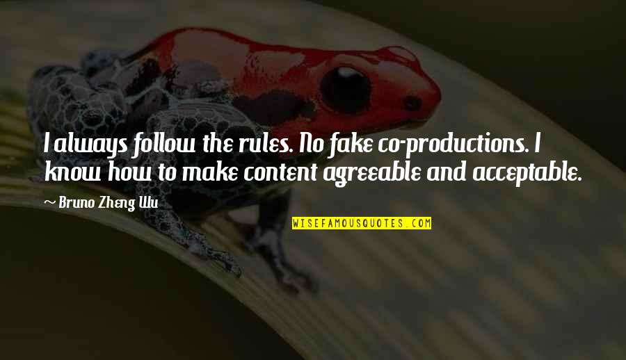 Follow My Rules Quotes By Bruno Zheng Wu: I always follow the rules. No fake co-productions.