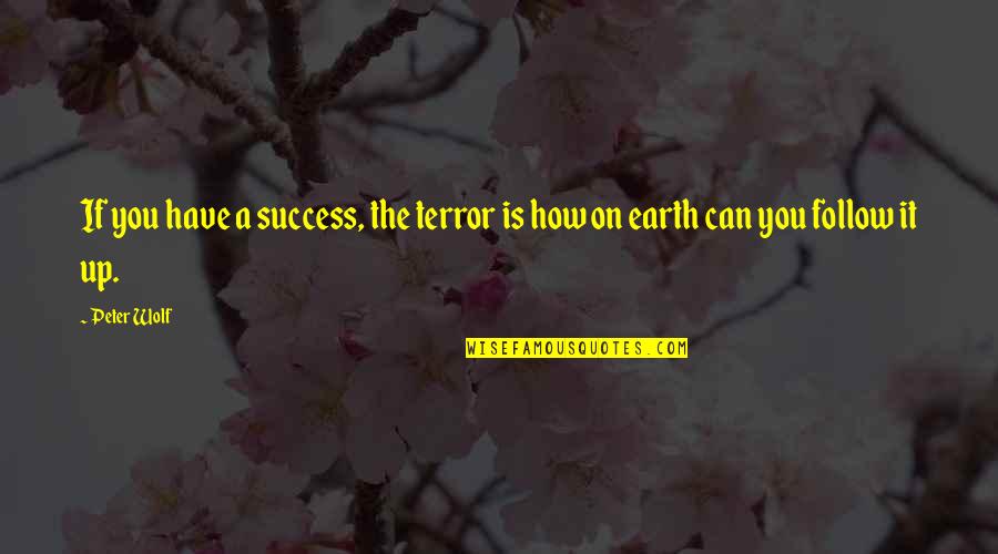 Follow Success Quotes By Peter Wolf: If you have a success, the terror is