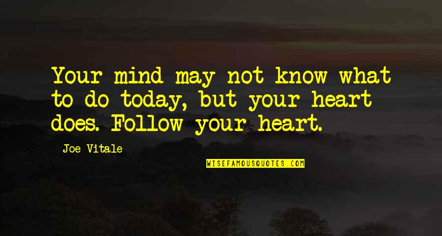 Follow The Heart Or Mind Quotes By Joe Vitale: Your mind may not know what to do