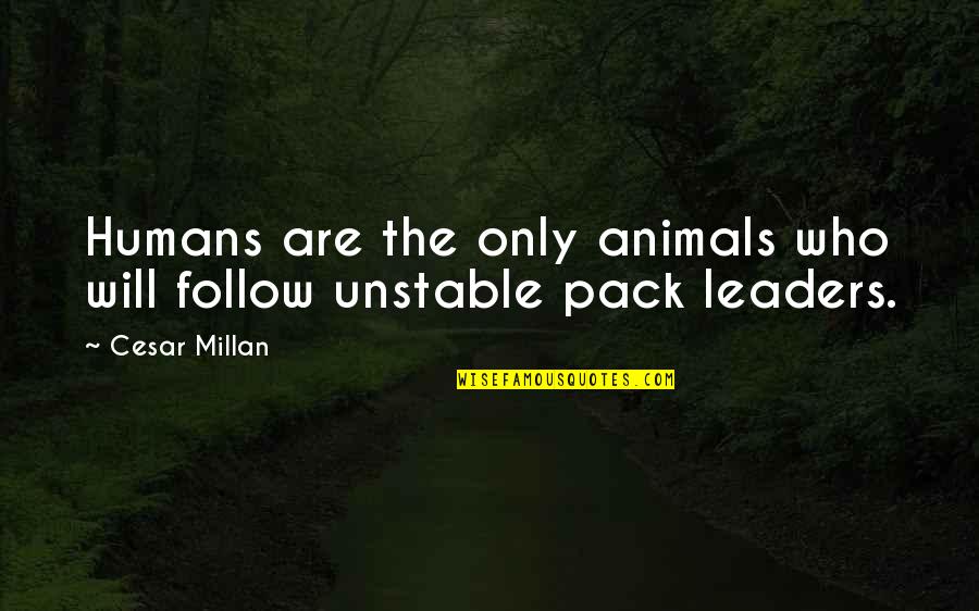 Follow The Leader Quotes By Cesar Millan: Humans are the only animals who will follow