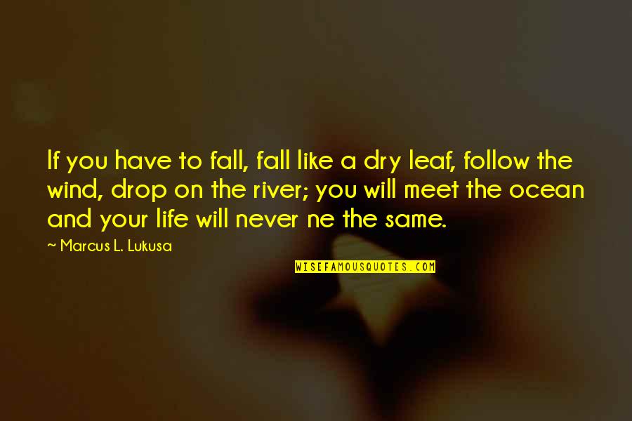 Follow The River Quotes By Marcus L. Lukusa: If you have to fall, fall like a