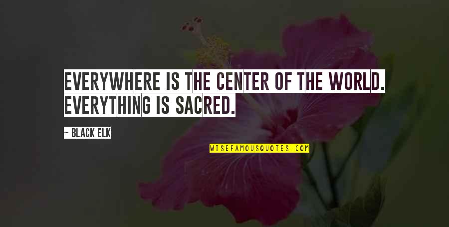 Follow What You Love Quotes By Black Elk: Everywhere is the center of the world. Everything