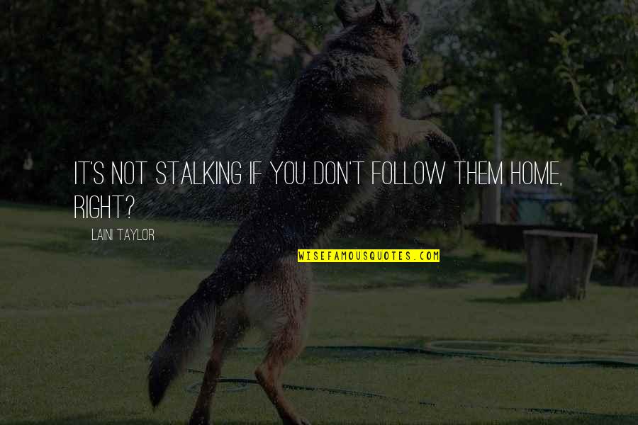 Follow You Home Quotes By Laini Taylor: It's not stalking if you don't follow them