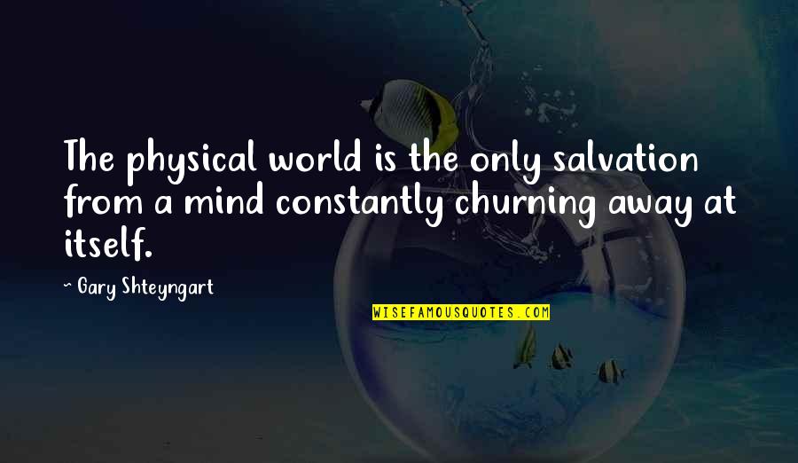 Follow Your Dream Passion Quotes By Gary Shteyngart: The physical world is the only salvation from