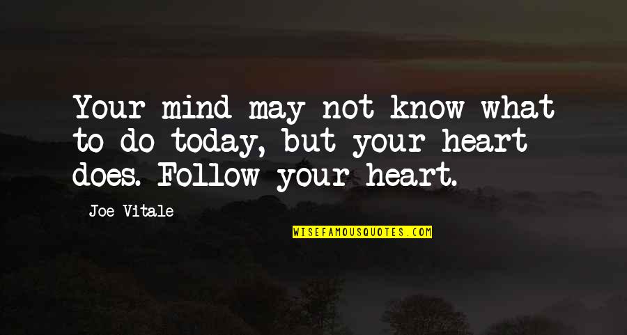 Follow Your Heart Quotes By Joe Vitale: Your mind may not know what to do