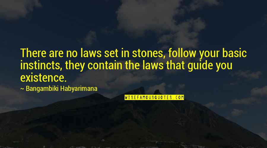 Follow Your Instinct Quotes By Bangambiki Habyarimana: There are no laws set in stones, follow
