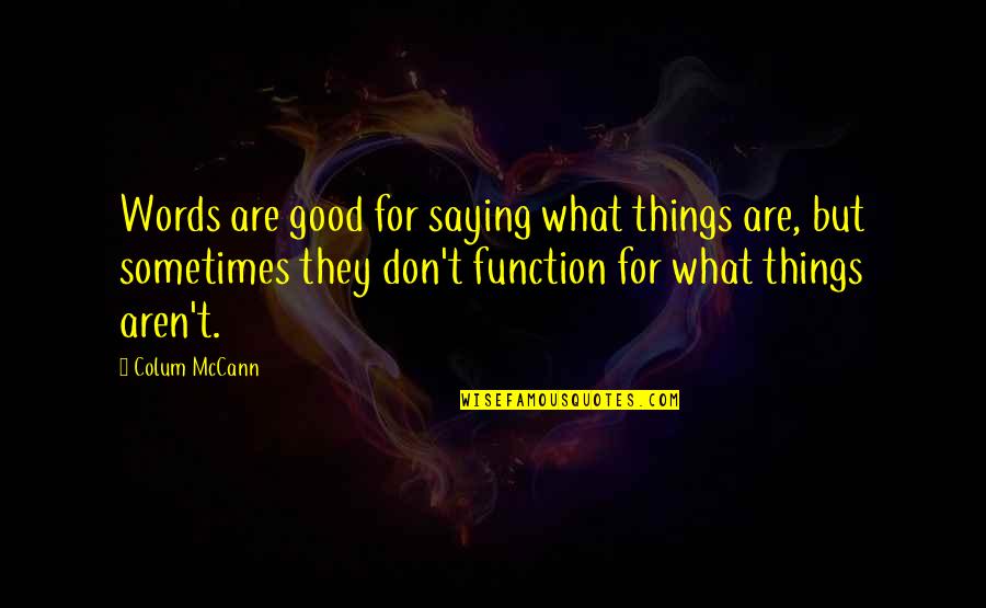 Folly Of Youth Quotes By Colum McCann: Words are good for saying what things are,