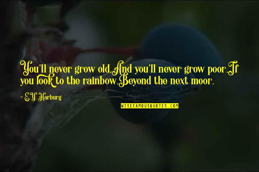 Fondles Quotes By E.Y. Harburg: You'll never grow old,And you'll never grow poor,If