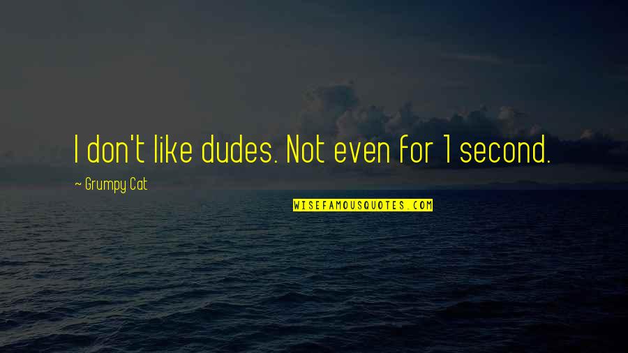 Fontalvo Recliner Quotes By Grumpy Cat: I don't like dudes. Not even for 1