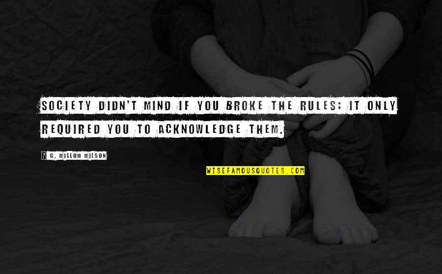 Fonteyn Tuinhuis Quotes By G. Willow Wilson: Society didn't mind if you broke the rules;