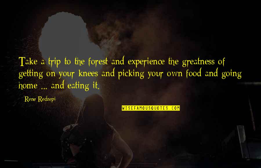 Food And Eating Quotes By Rene Redzepi: Take a trip to the forest and experience