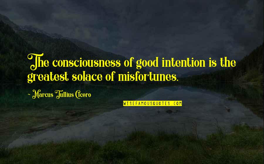 Food And Marriage Quotes By Marcus Tullius Cicero: The consciousness of good intention is the greatest