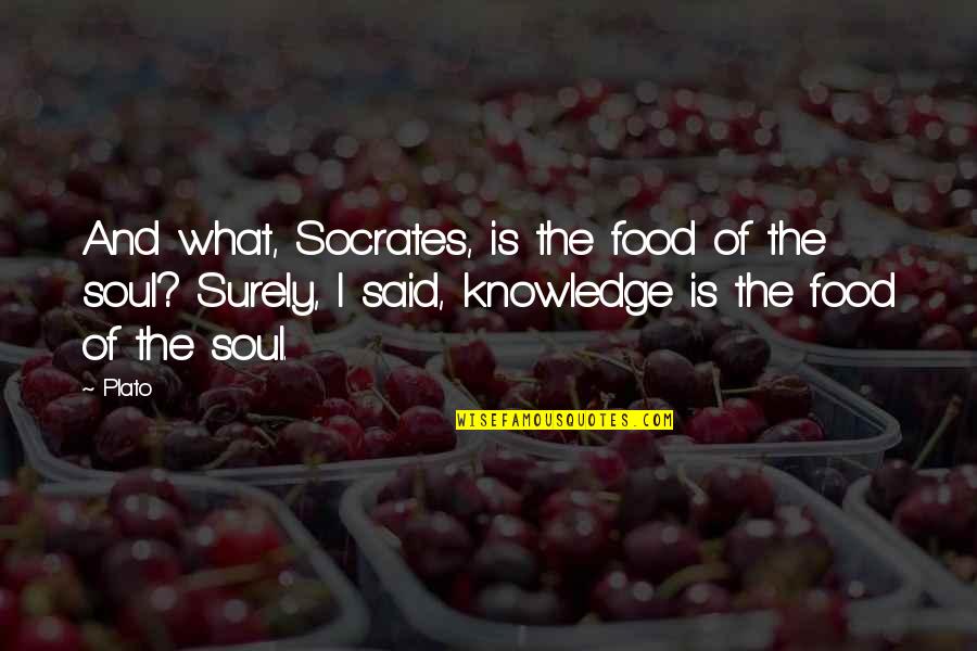 Food And Soul Quotes By Plato: And what, Socrates, is the food of the