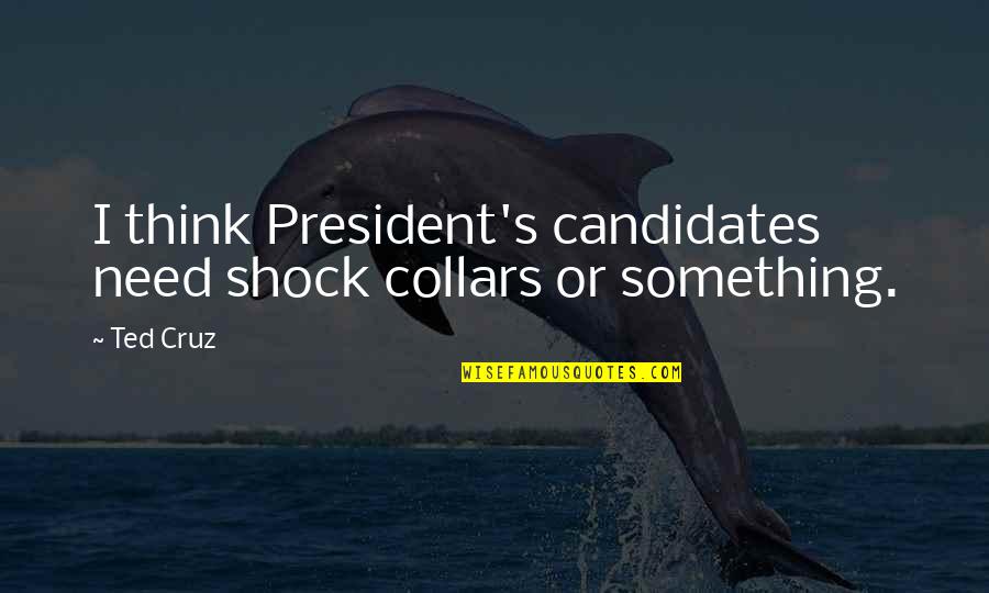 Food And Travel Quotes By Ted Cruz: I think President's candidates need shock collars or