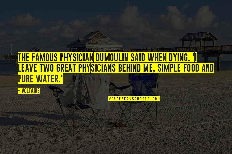 Food Famous Quotes By Voltaire: The famous physician Dumoulin said when dying, 'I