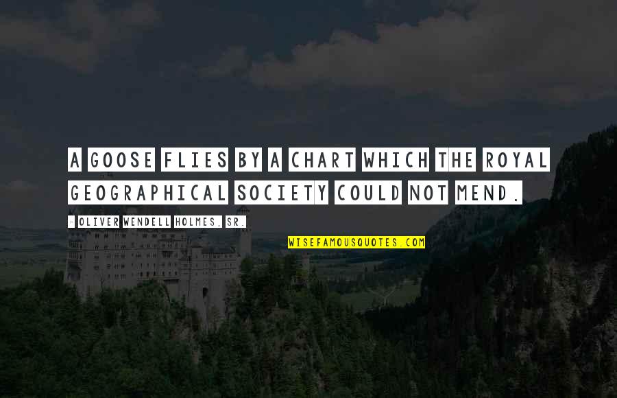 Food For Thought Draper Quotes By Oliver Wendell Holmes, Sr.: A goose flies by a chart which the Food For Thought Draper Quotes By Oliver Wendell Holmes, Sr.: A goose flies by a chart which the