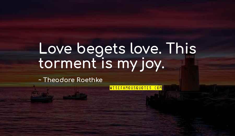 Food Gelato Quotes By Theodore Roethke: Love begets love. This torment is my joy.