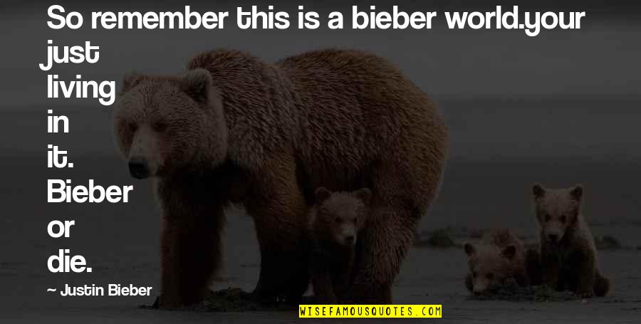 Food Has A Metallic Taste Quotes By Justin Bieber: So remember this is a bieber world.your just
