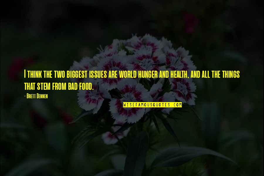 Food Hunger Quotes By Brett Dennen: I think the two biggest issues are world