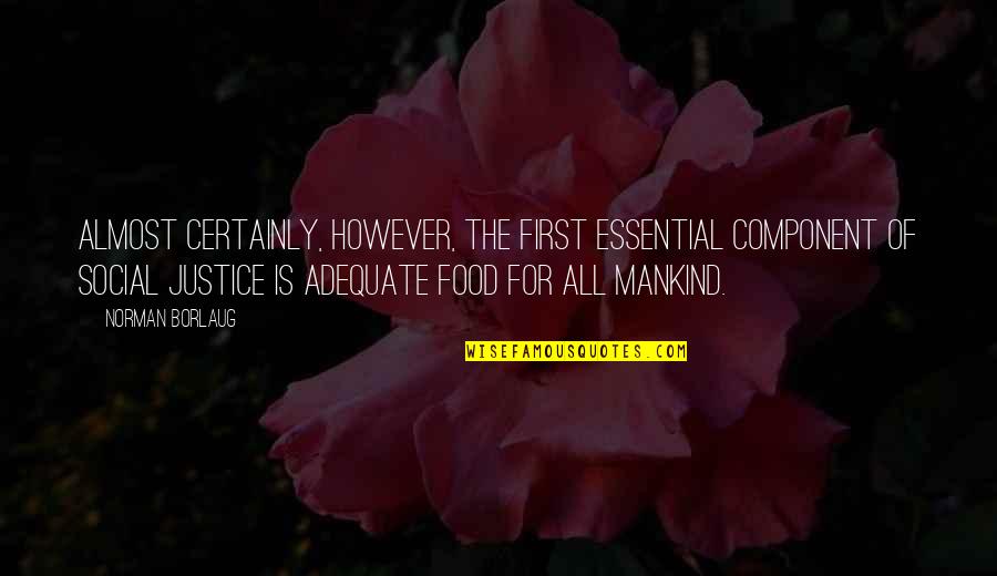 Food Justice Quotes By Norman Borlaug: Almost certainly, however, the first essential component of