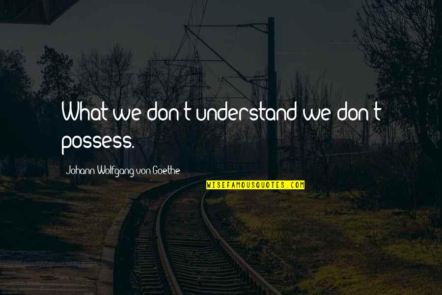 Food Sales Quotes By Johann Wolfgang Von Goethe: What we don't understand we don't possess.