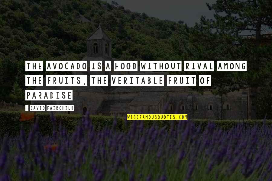 Food Science Quotes By David Fairchild: The avocado is a food without rival among Food Science Quotes By David Fairchild: The avocado is a food without rival among