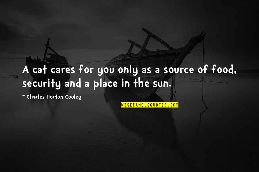 Food Security Quotes By Charles Horton Cooley: A cat cares for you only as a