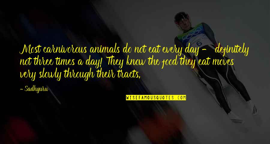 Food They Quotes By Sadhguru: Most carnivorous animals do not eat every day Food They Quotes By Sadhguru: Most carnivorous animals do not eat every day