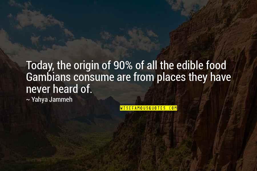 Food They Quotes By Yahya Jammeh: Today, the origin of 90% of all the Food They Quotes By Yahya Jammeh: Today, the origin of 90% of all the