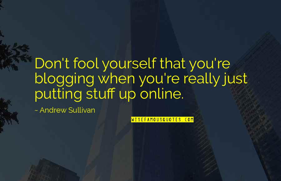 Fool Yourself Quotes By Andrew Sullivan: Don't fool yourself that you're blogging when you're
