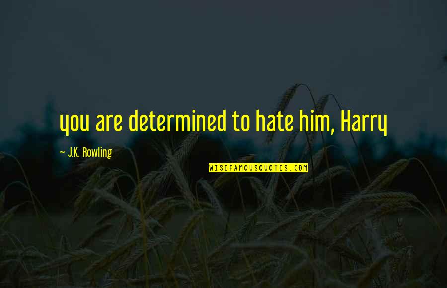 Foolgrapher Quotes By J.K. Rowling: you are determined to hate him, Harry