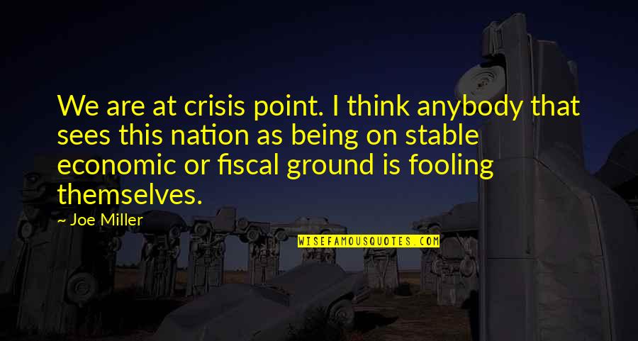 Fooling You Quotes By Joe Miller: We are at crisis point. I think anybody