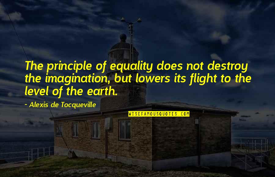 Foolish Girl Quotes By Alexis De Tocqueville: The principle of equality does not destroy the