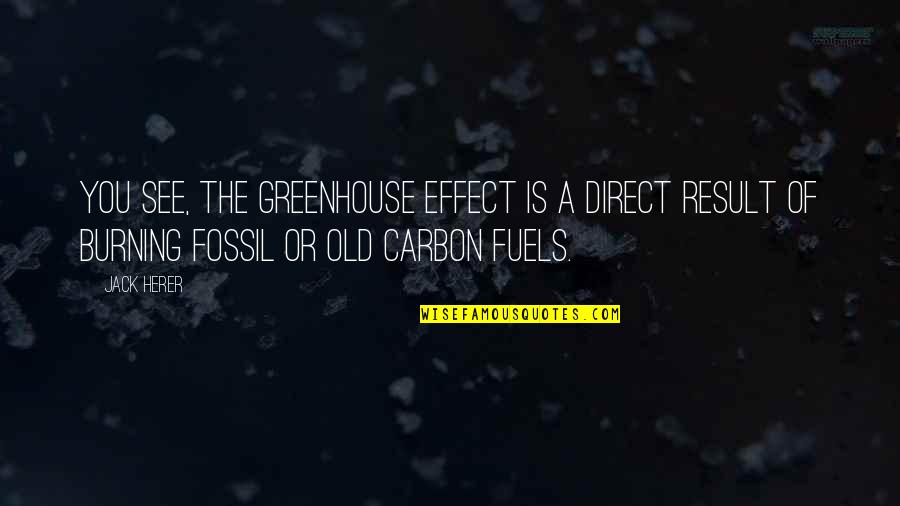 Foolish Pride Quotes By Jack Herer: You see, the Greenhouse Effect is a direct