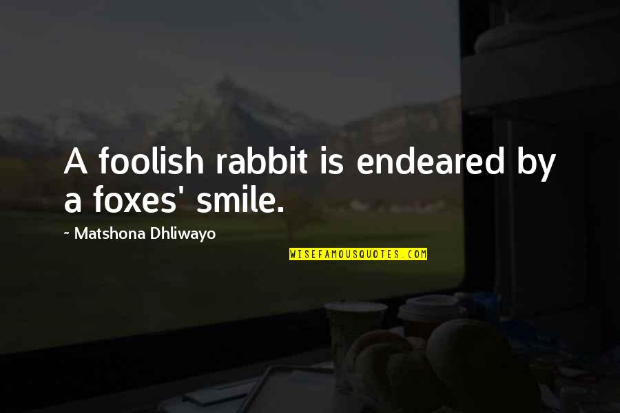 Foolish Quotes By Matshona Dhliwayo: A foolish rabbit is endeared by a foxes'