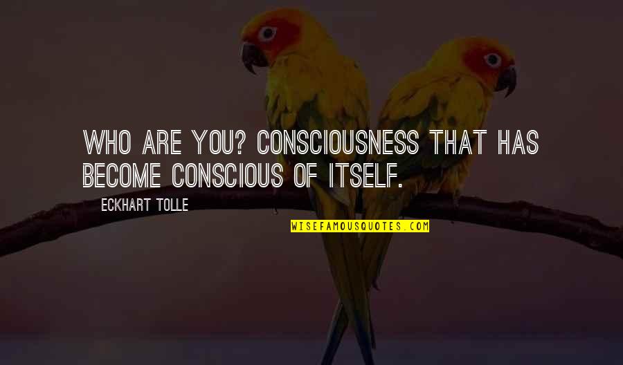 Foolish Talk Quotes By Eckhart Tolle: Who are you? Consciousness that has become conscious