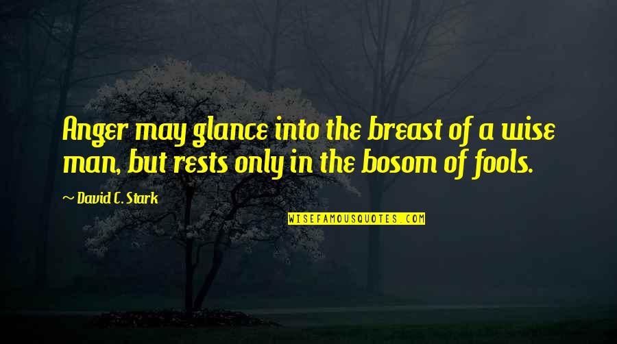 Fools And Wisdom Quotes By David C. Stark: Anger may glance into the breast of a