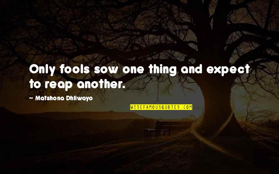 Fools Quotes And Quotes By Matshona Dhliwayo: Only fools sow one thing and expect to