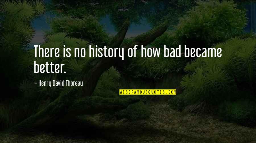 Fooly Cooly Quotes By Henry David Thoreau: There is no history of how bad became