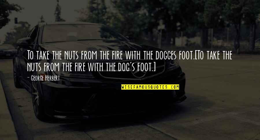 Foot Feet Quotes By George Herbert: To take the nuts from the fire with